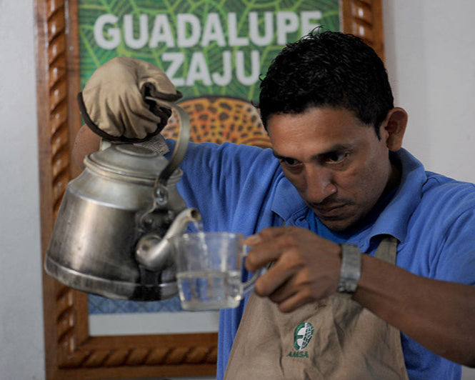 Mexico - La Gloria de Gante